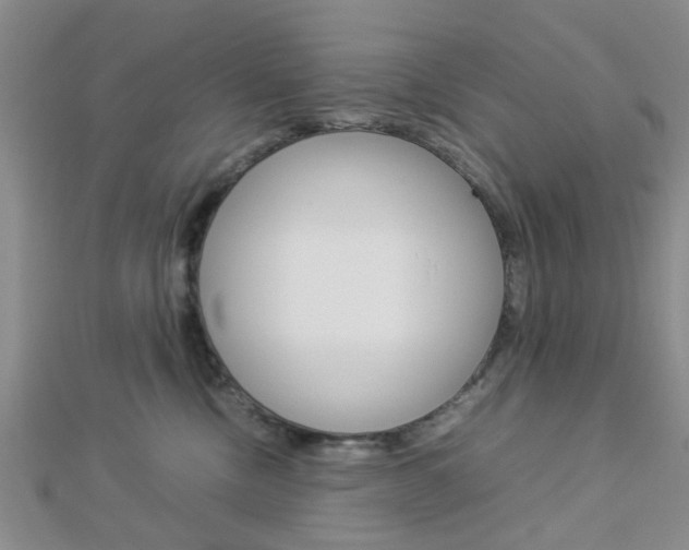X0000112870378200908211035