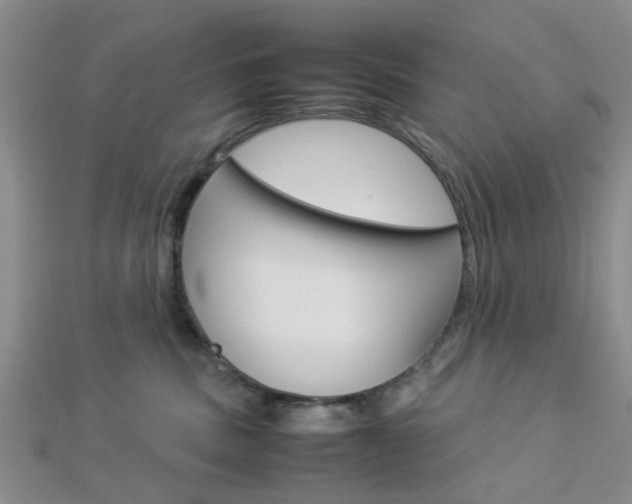 X0000112870379200908211035
