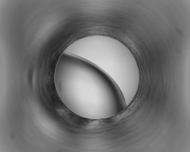 X0000112870382200908211035