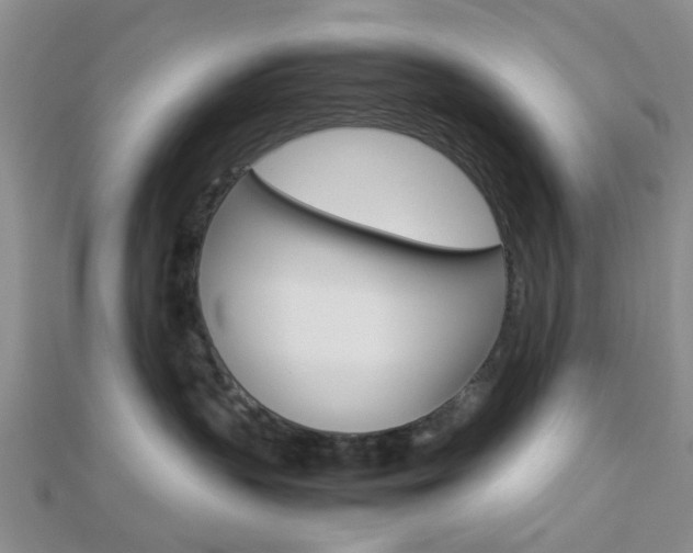 X0000112870383200908211035