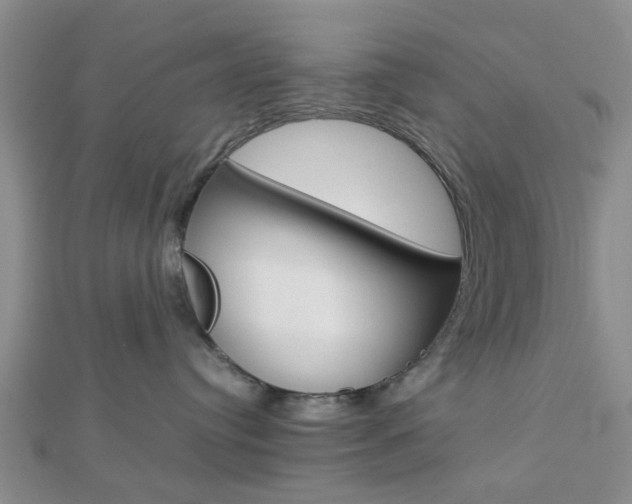 X0000112870384200908211035