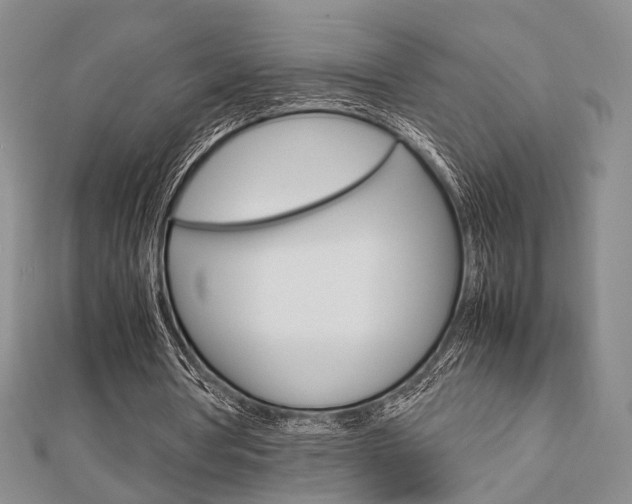 X0000112870386200908211034