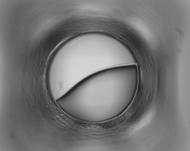 X0000112870387200908211034