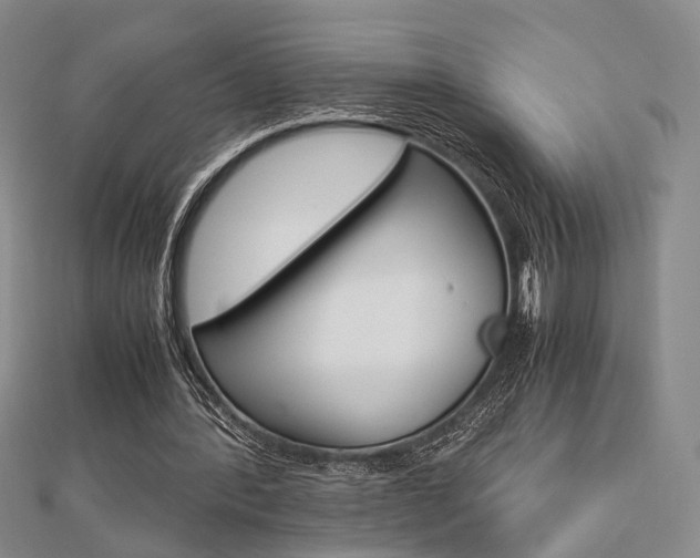 X0000112870388200908211034