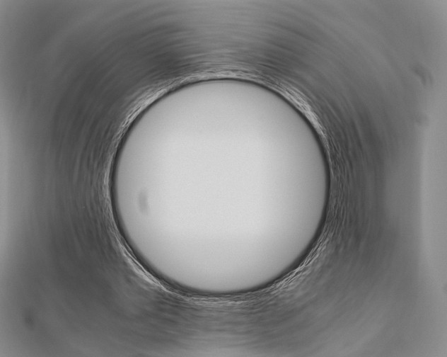 X0000112870389200908211034