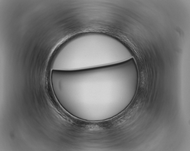 X0000112870392200908211034