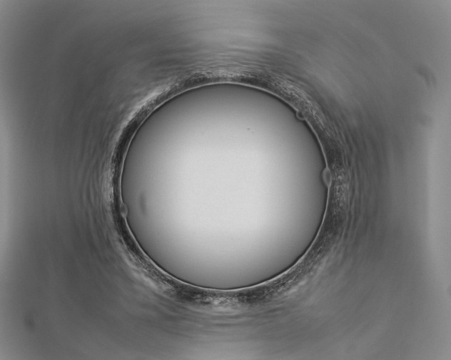 X0000112870395200908211034