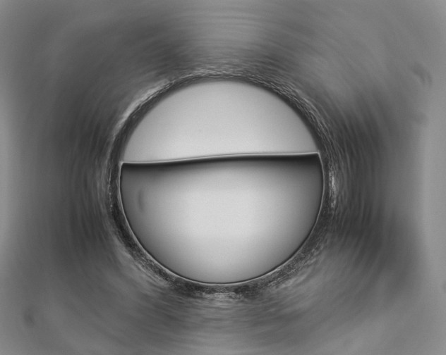 X0000112870396200908211034