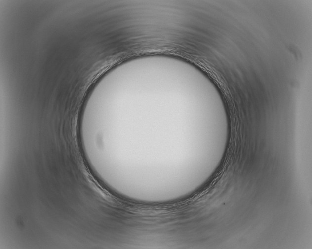 X0000112870397200908211034