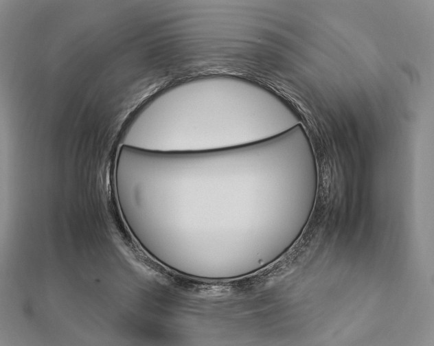 X0000112870398200908211034