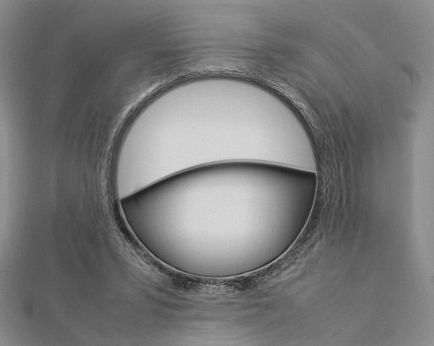 X0000112870399200908211034