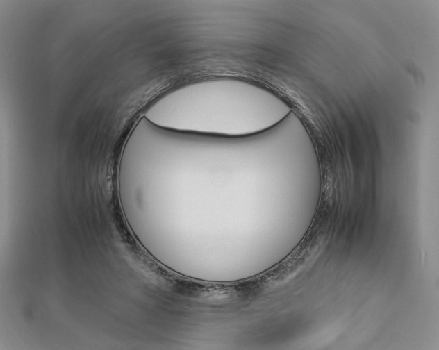 X0000112870402200908211034