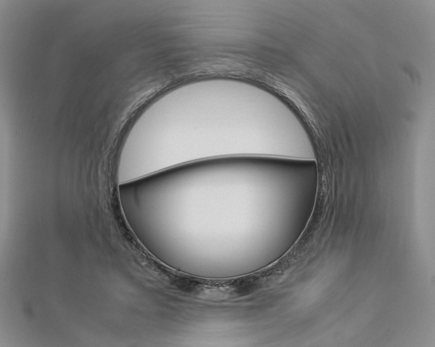 X0000112870403200908211034