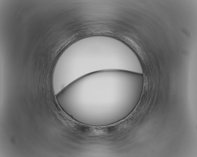 X0000112870405200908211034
