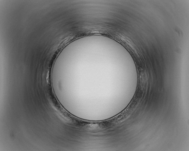 X0000112870406200908211034
