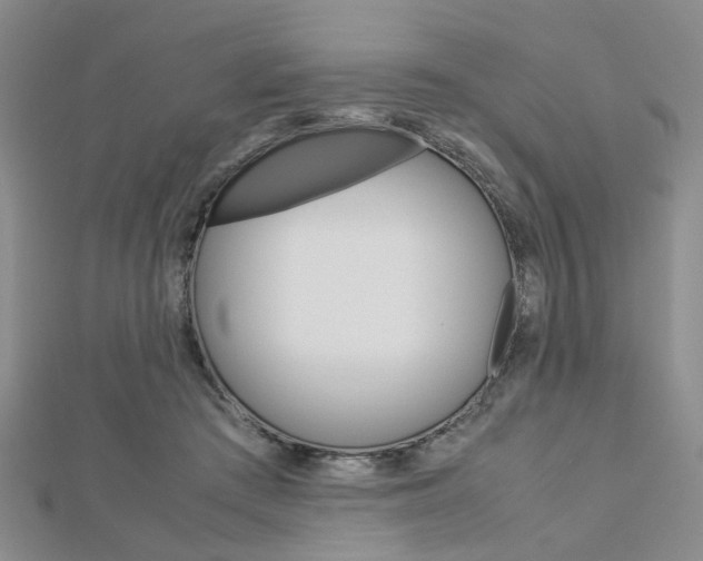 X0000112870409200908211034