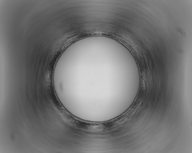 X0000112870410200908211034