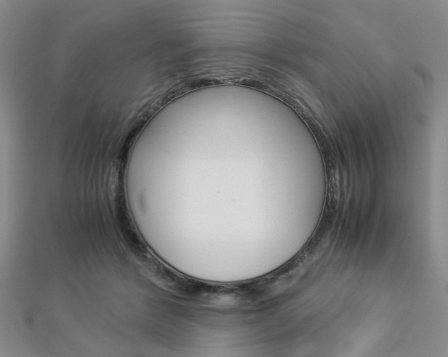 X0000112870412200908211034