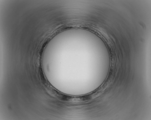 X0000112870413200908211034