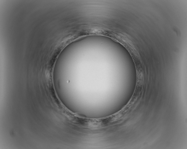 X0000112870415200908211034