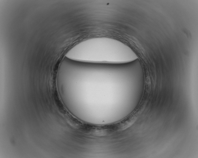 X0000112870416200908211034