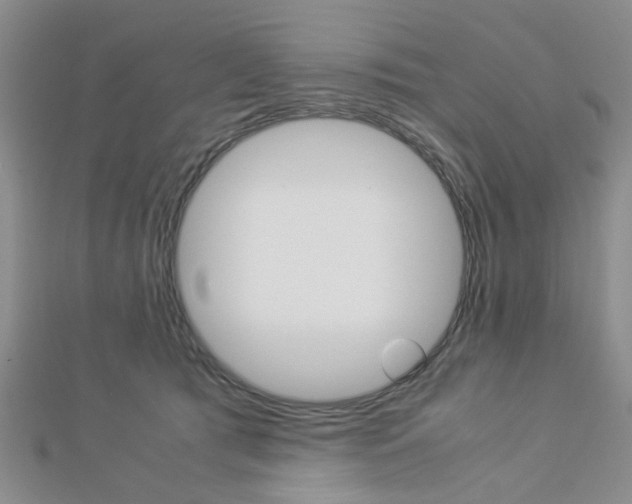 X0000112870417200908211034