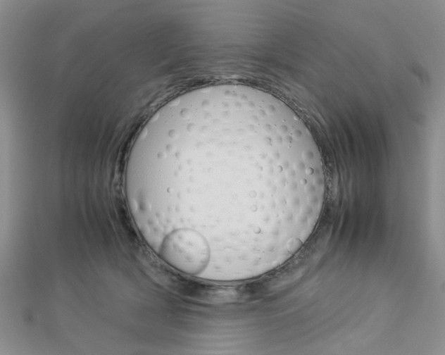X0000112870418200908211034