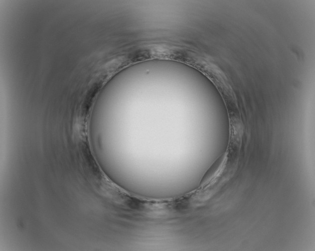 X0000112870419200908211034