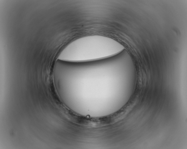 X0000112870420200908211034