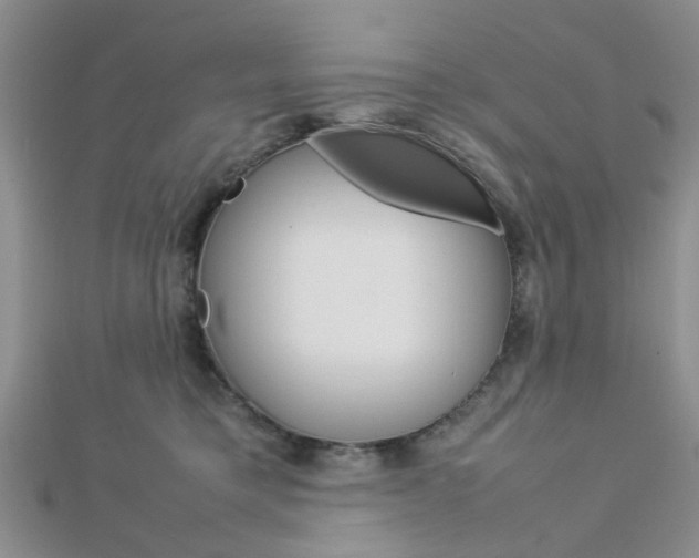 X0000112870421200908211034