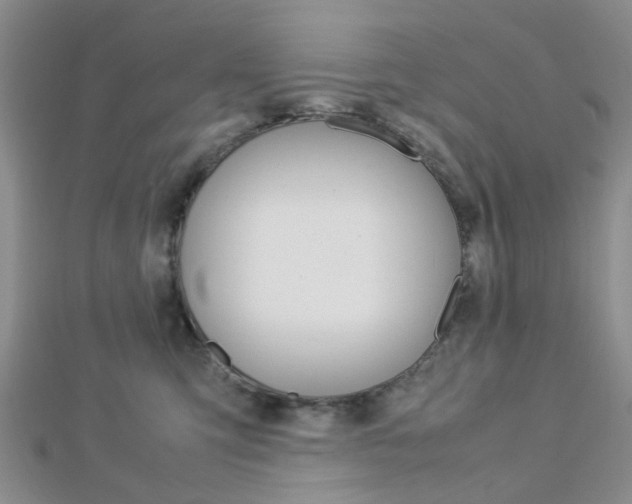 X0000112870423200908211034