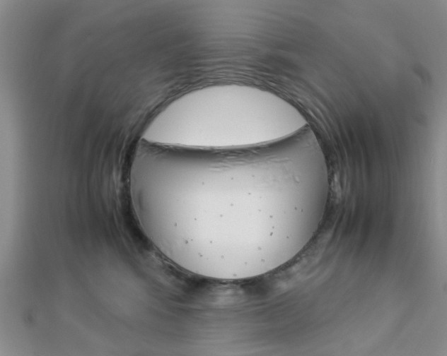 X0000112870424200908211034