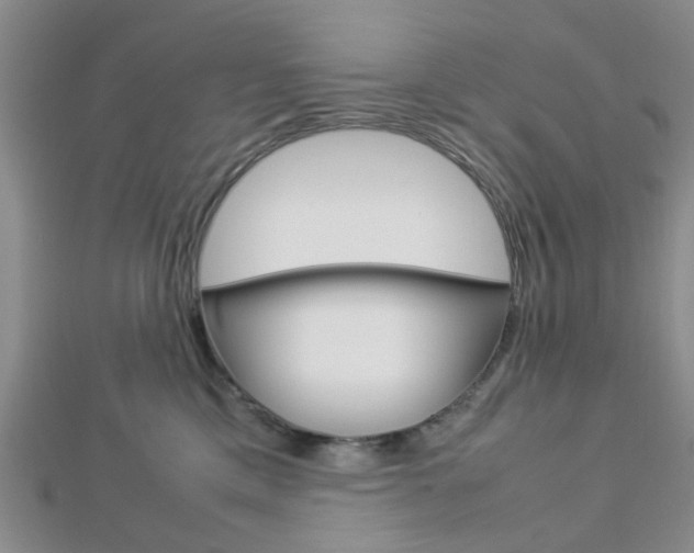 X0000112870425200908211034
