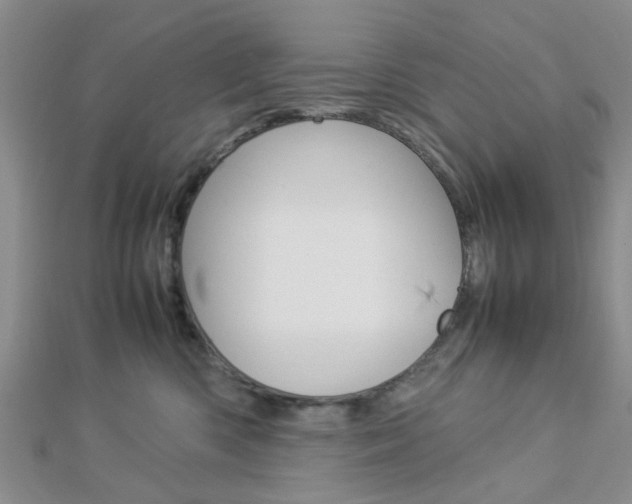 X0000112870426200908211034