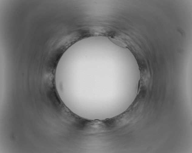 X0000112870427200908211034