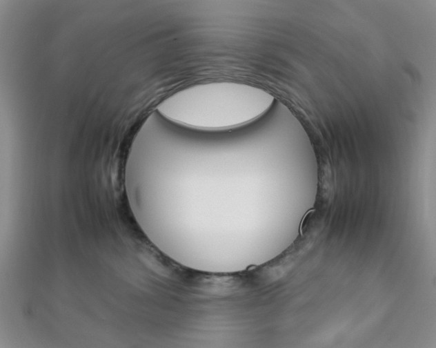 X0000112870428200908211034