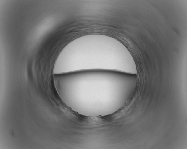 X0000112870429200908211034