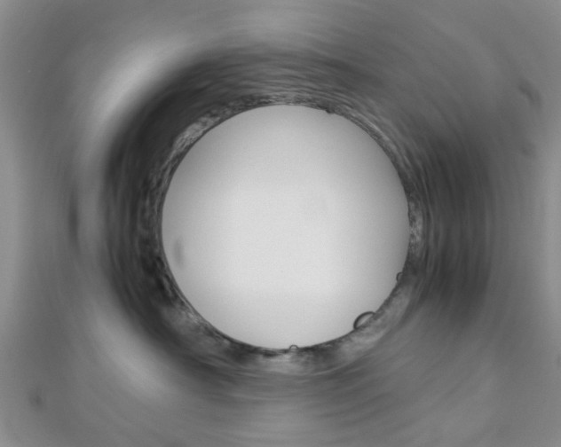 X0000112870430200908211034