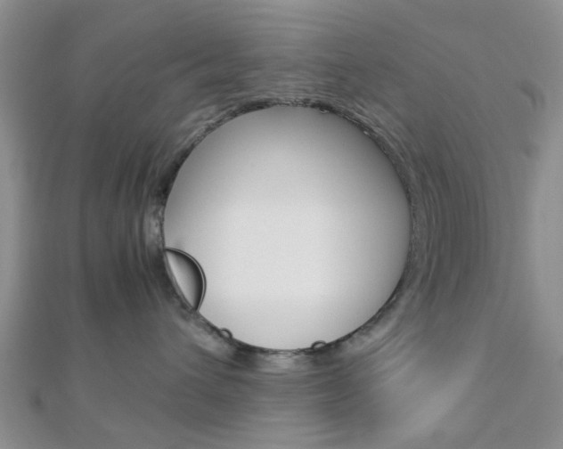 X0000112870432200908211034