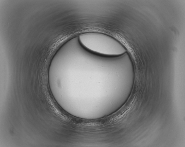 X0000112870433200908211033