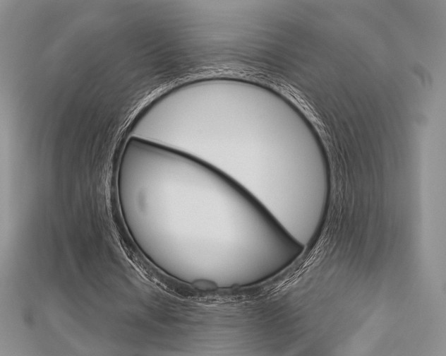 X0000112870434200908211033