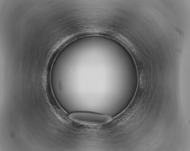 X0000112870436200908211033