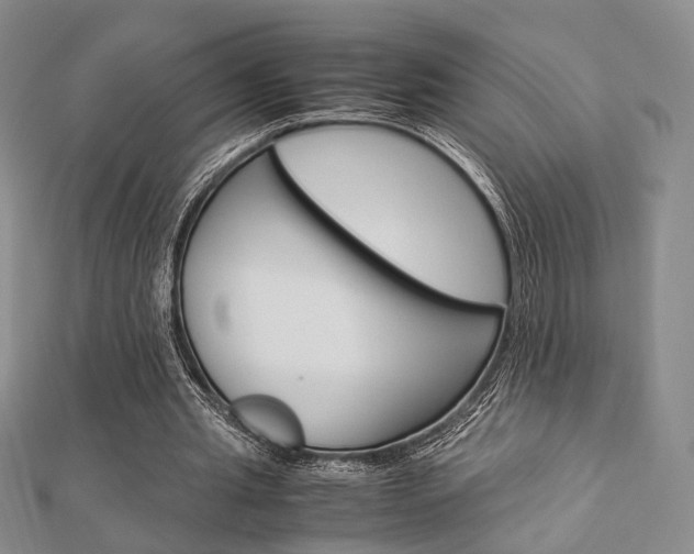 X0000112870437200908211033