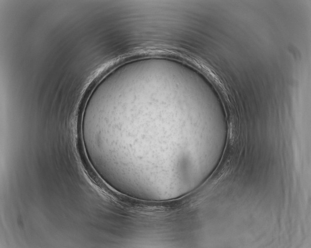 X0000112870438200908211033
