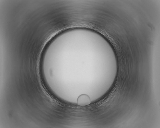 X0000112870440200908211033