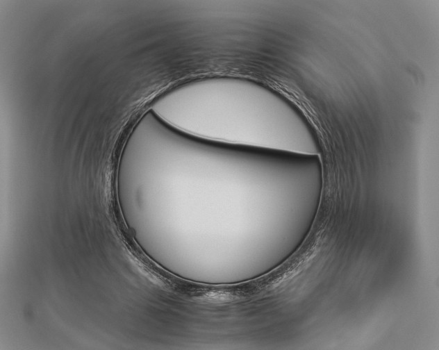 X0000112870441200908211033