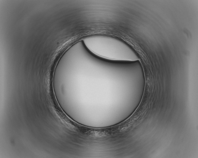 X0000112870442200908211033