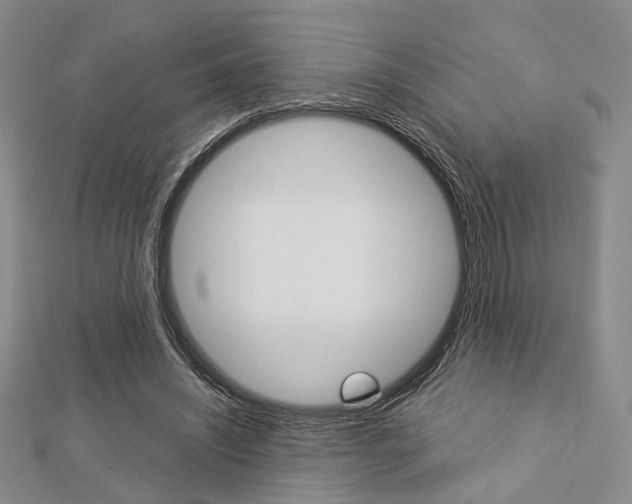 X0000112870444200908211033