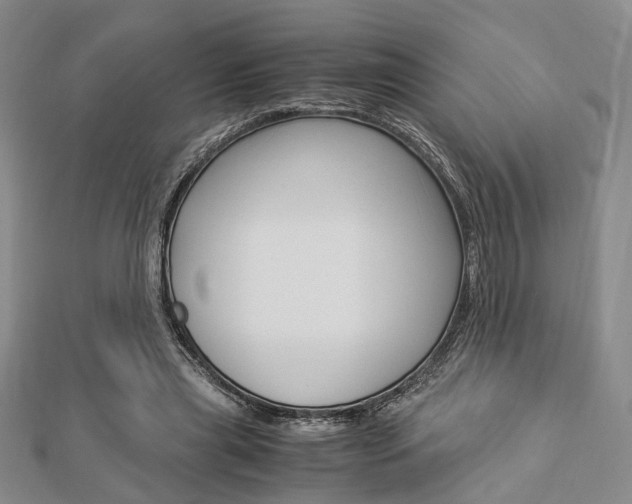 X0000112870445200908211033