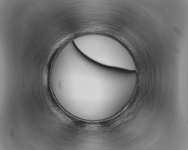 X0000112870446200908211033